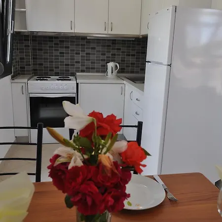 Scandia Villas Potos