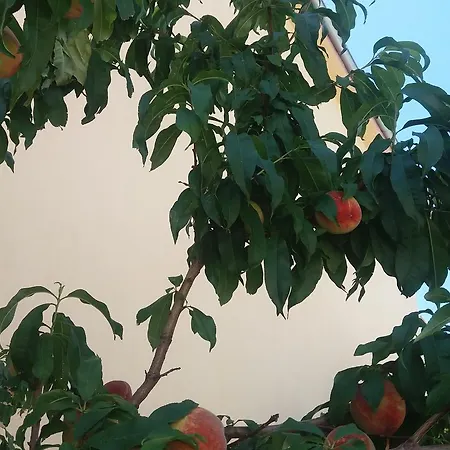 Apartment Scandia Villas Potos