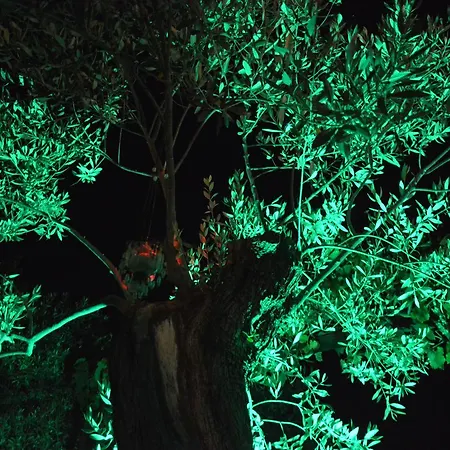 Scandia Villas Apartment *