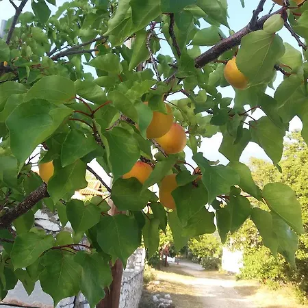 Scandia Villas Apartment Potos