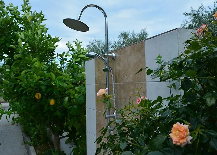 Apartament Scandia