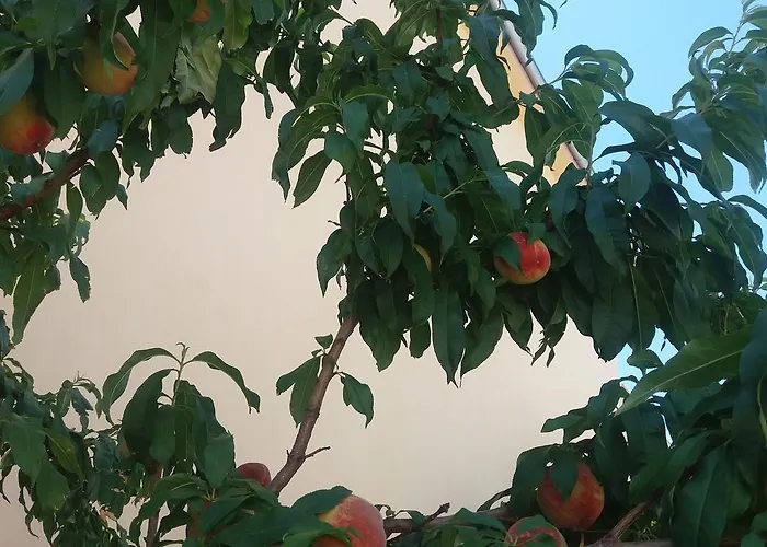 Apartmán Scandia Potos