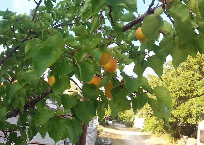 Scandia Apartmán Potos